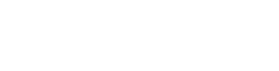 FM Consulting International